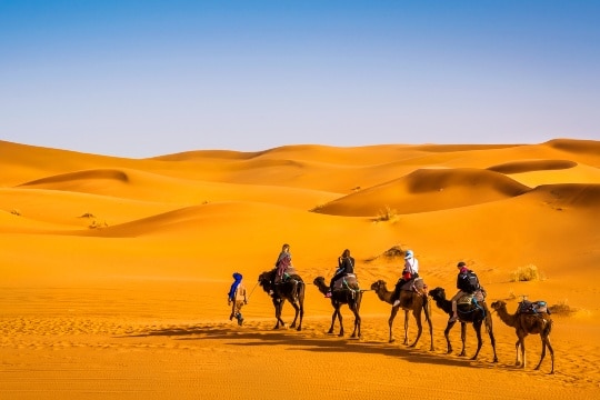 Trekking in Sahara Desert