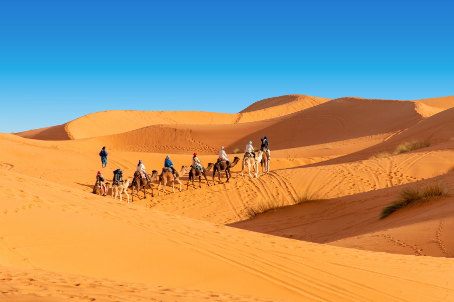 7 Days Tour From Casablanca to Marrakech
