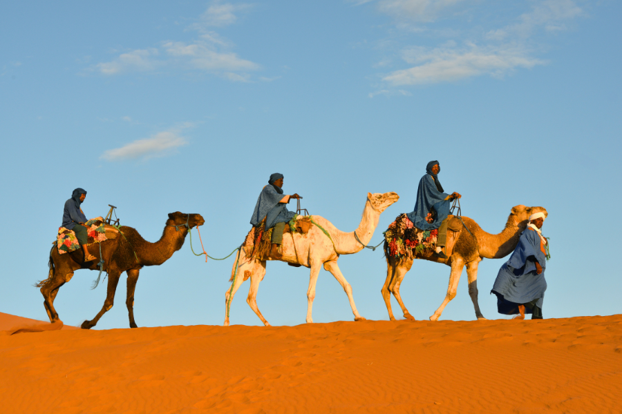 12 Day Tour From Casablanca