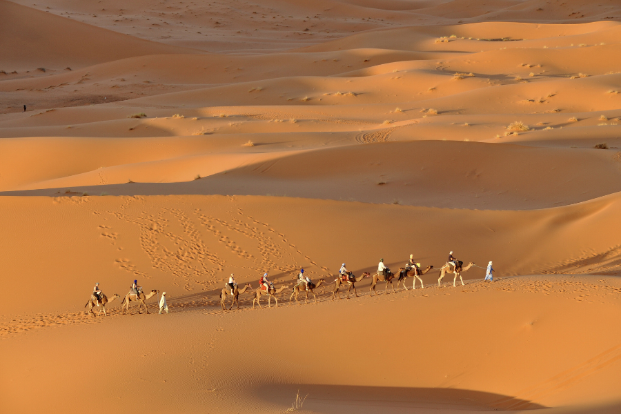 3 Days Desert Tour from Marrakech to Fes via Merzouga
