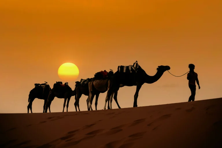 Nomads Morocco Tours,