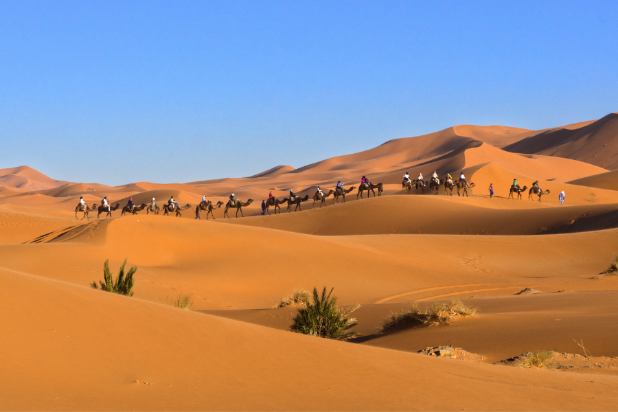 2 Days Desert Tour From Fes to Marrakech,