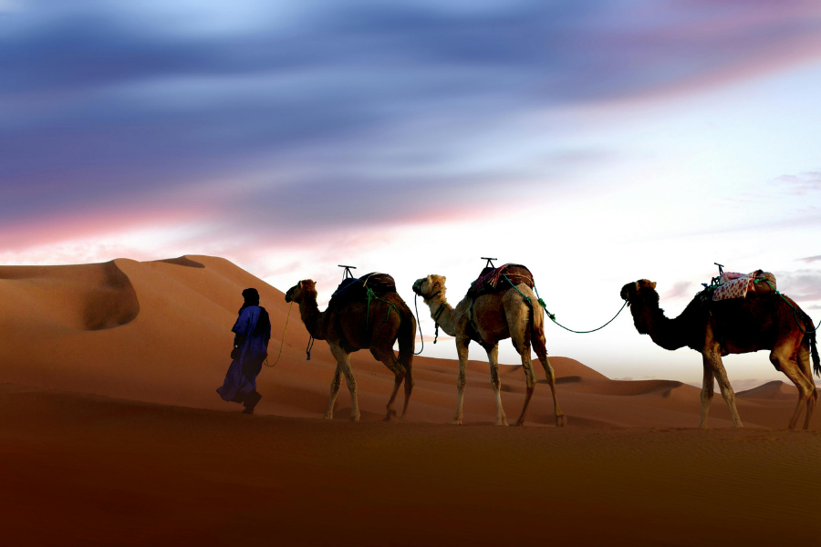 10 Days Imperial Tour from Fes to Tangier,