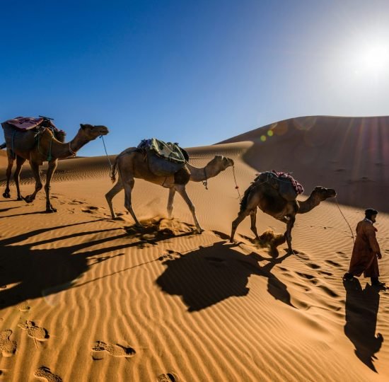 sergey-pesterev-dnLmApcmNHg-unsplash